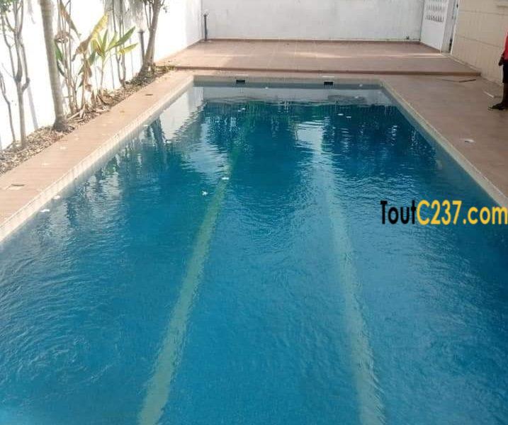 Somptueux Duplex cadre à louer à Bonapriso