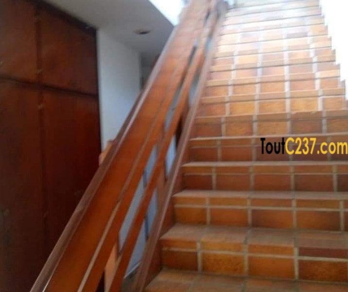 Somptueux Duplex cadre à louer à Bonapriso