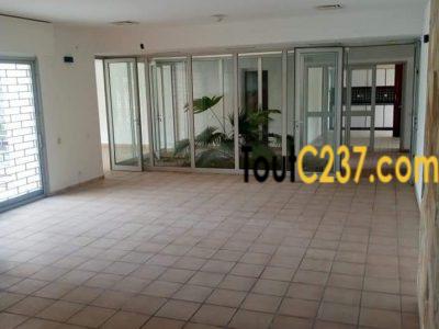 Somptueux Duplex cadre à louer à Bonapriso