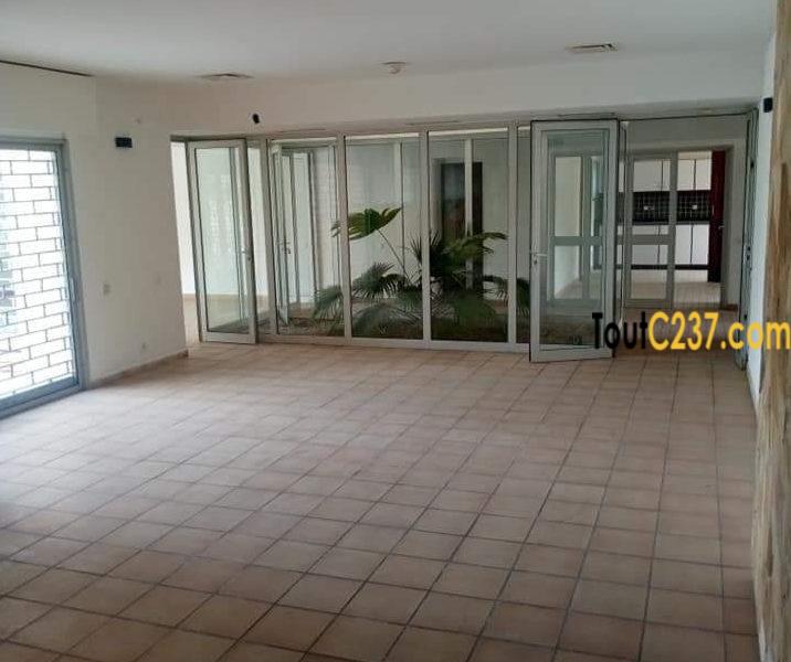 Somptueux Duplex cadre à louer à Bonapriso