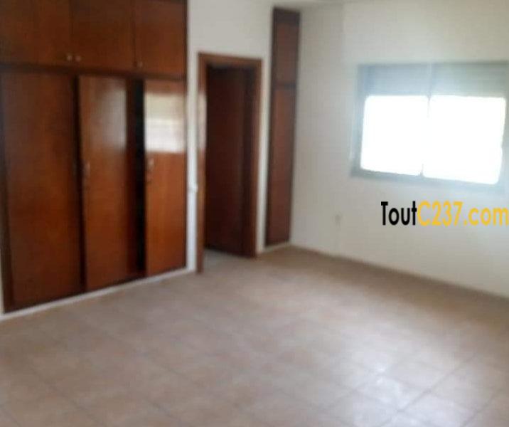 Somptueux Duplex cadre à louer à Bonapriso