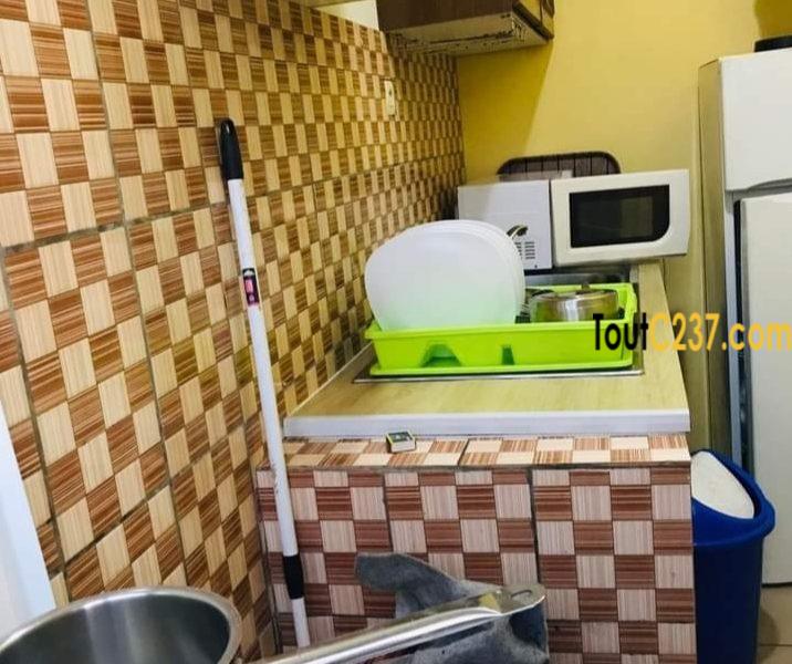 Appartement meublé à louer à Bonamoussadi