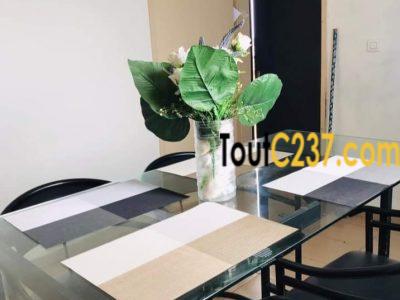 Appartement meublé à louer à Bonamoussadi