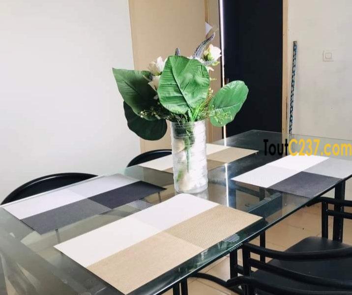 Appartement meublé à louer à Bonamoussadi