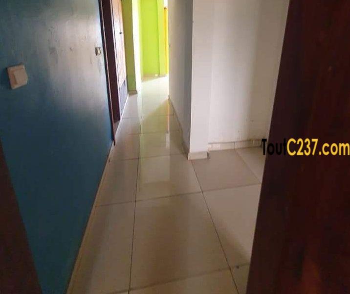 Appartement à louer à Bonapriso Douala