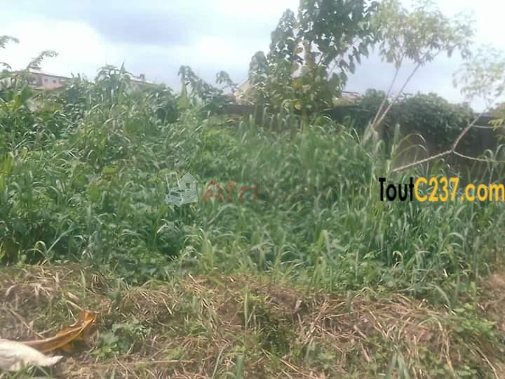 Terrain à vendre à logbessou (témoin de jehobah)