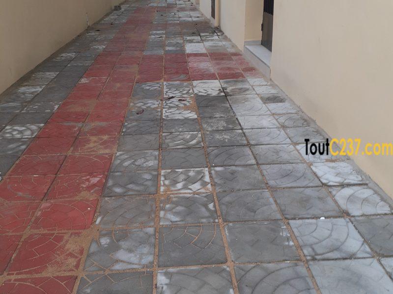 Appartement neuf à louer à pk8 Douala