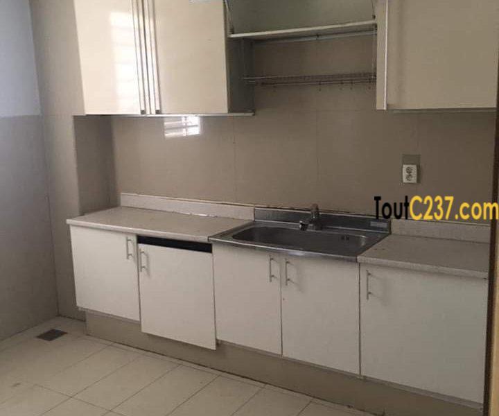 Joli Appartement à louer à Bonapriso Douala