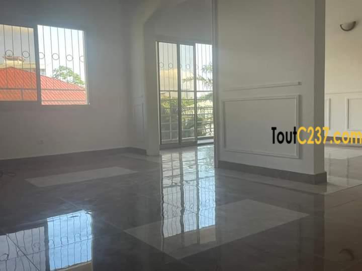 Appartement à louer à Bonapriso Douala