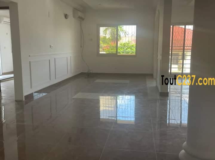 Appartement à louer à Bonapriso Douala