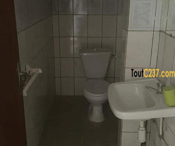 Appartement à louer à Bonapriso Douala