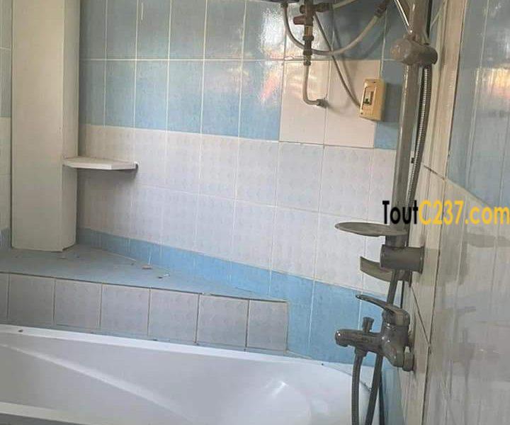 Appartement à louer à Bonapriso Douala