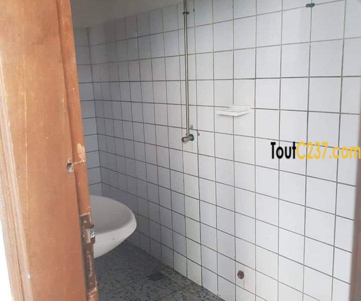 Appartement à louer à Bonamoussadi Douala