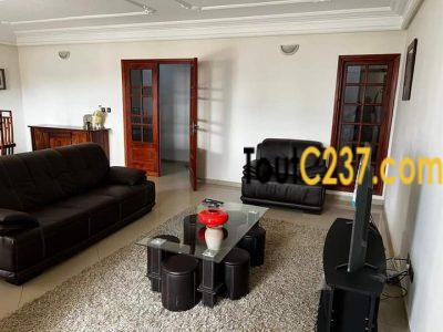 Appartement à louer à Bonamoussadi Douala