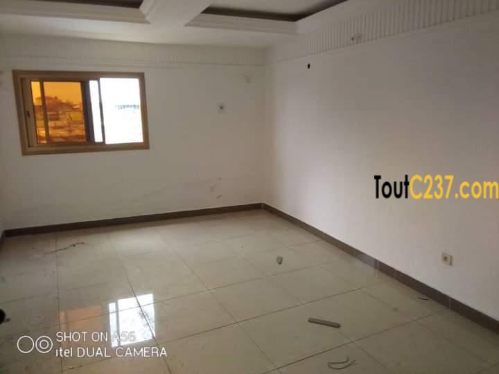Studio Moderne neuf à louer à Akwa Douala