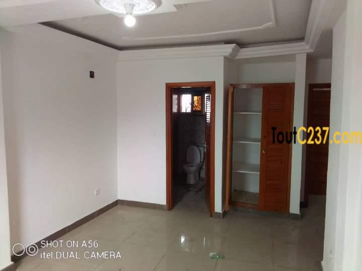 Studio Moderne neuf à louer à Akwa Douala