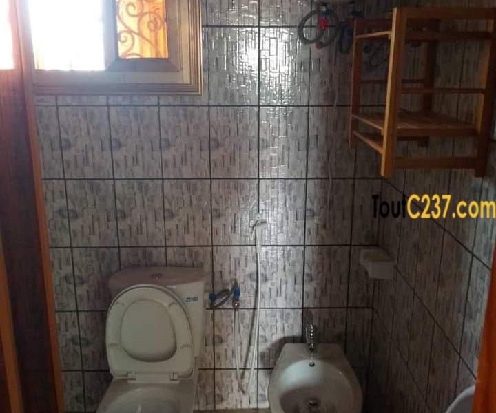 Studio Moderne neuf à louer à Akwa Douala