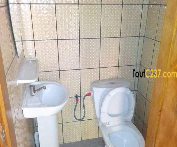 Studio Moderne neuf à louer à Akwa Douala