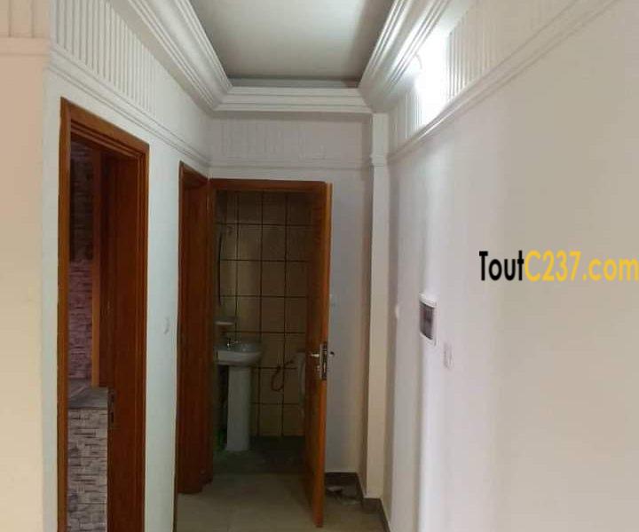 Studio Moderne neuf à louer à Akwa Douala
