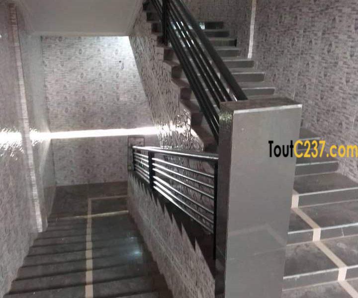 Studio Moderne neuf à louer à Akwa Douala