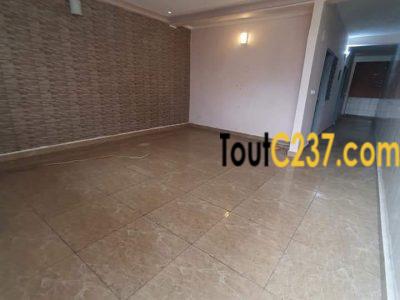 Appartement à louer à Bonapriso Douala