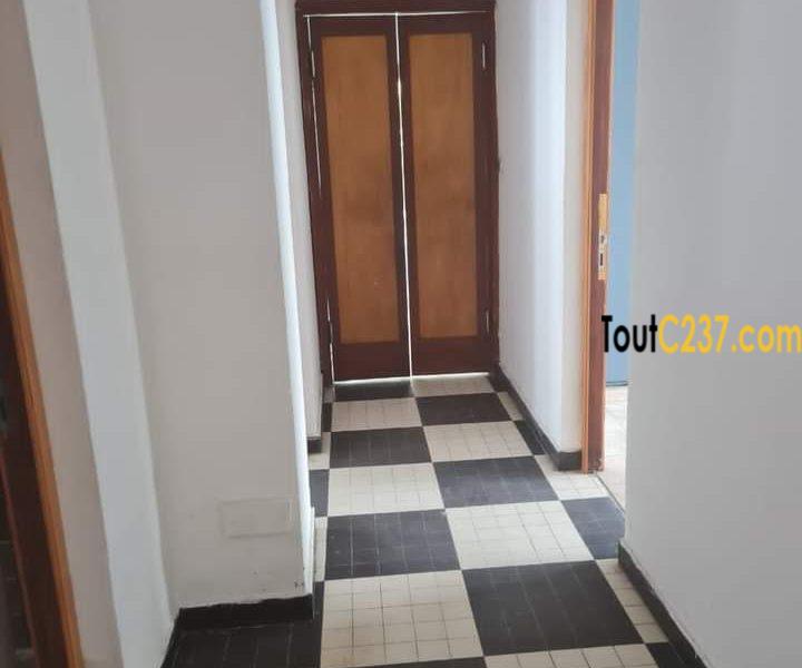 Grande villa à louer à Bali Douala