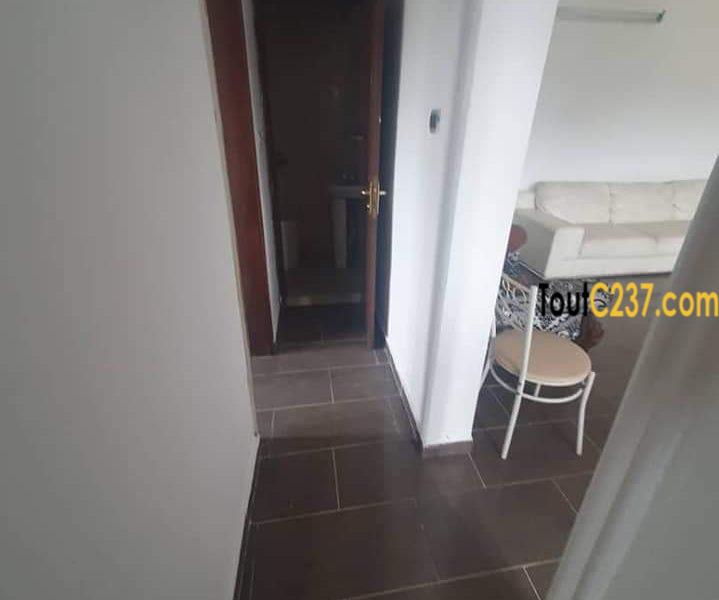 Appartement à louer à Bonapriso Douala