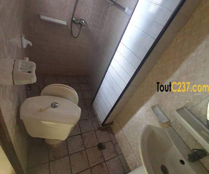 Appartement à louer à Bonapriso Douala
