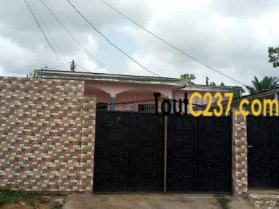 Maison à vendre à Japoma Douala