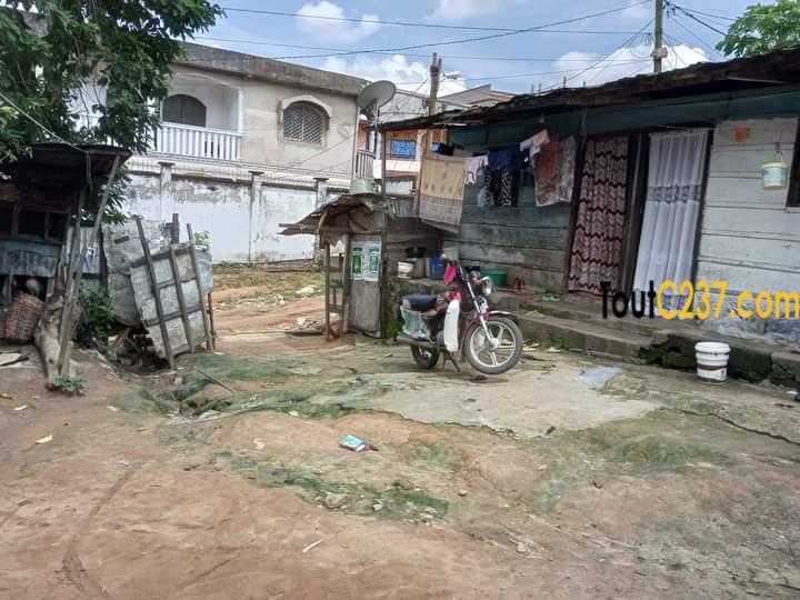 Terrain à vendre à Beedi Douala
