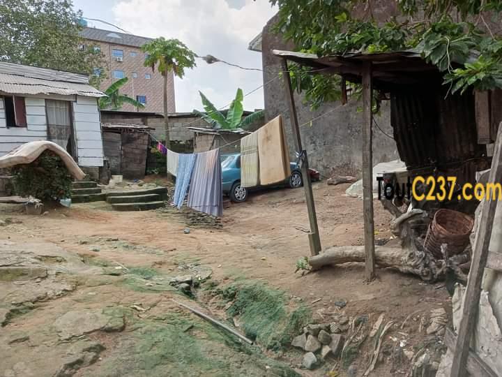 Terrain à vendre à Beedi Douala