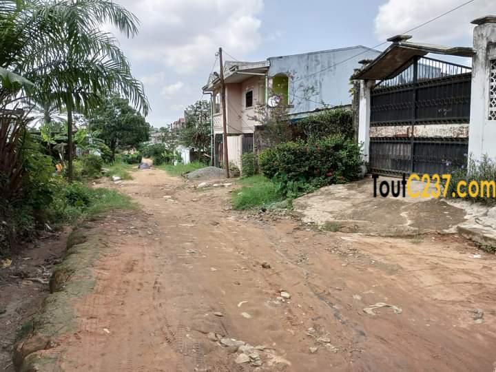 Terrain à vendre à Beedi Douala