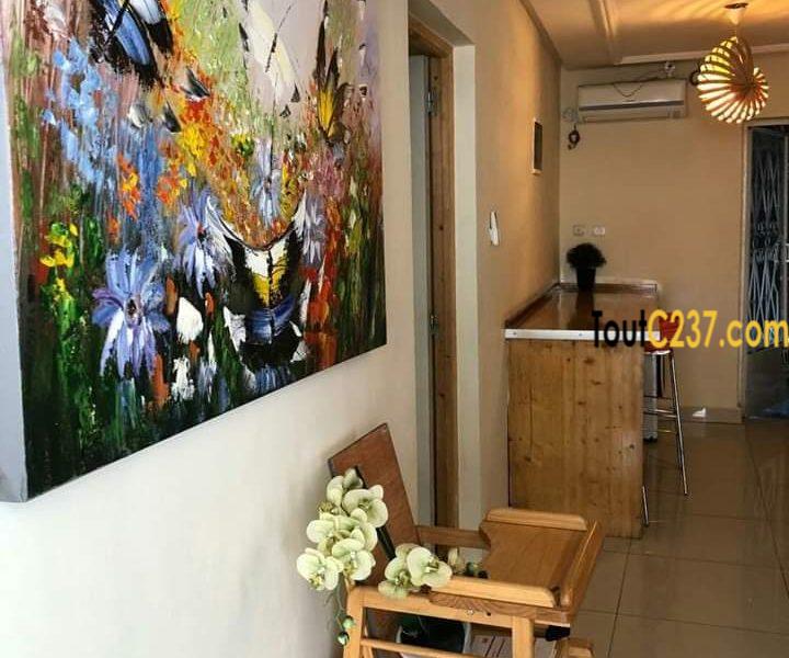 Villa meublée à louer à Bonapriso