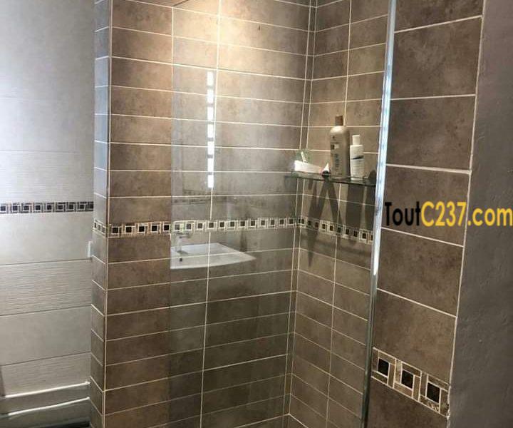 Villa meublée à louer à Bonapriso