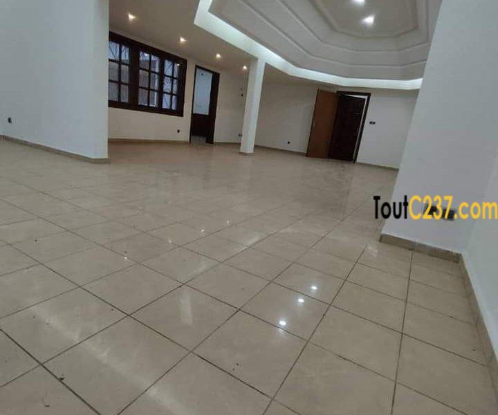 Maison à louer à Bonapriso Douala