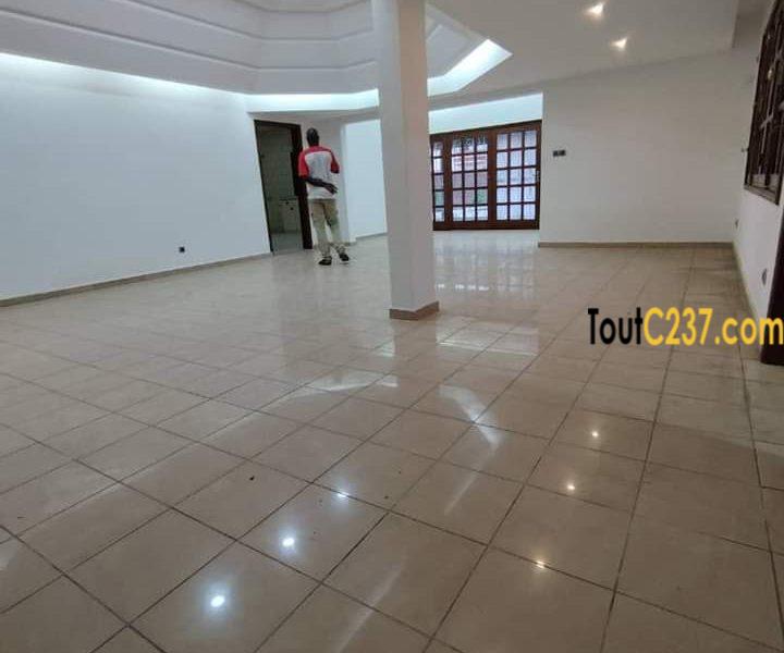 Maison à louer à Bonapriso Douala