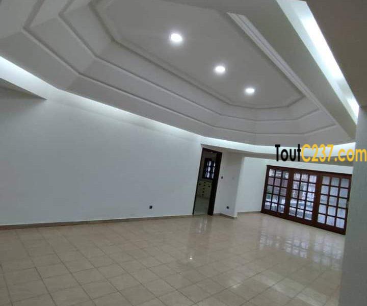 Maison à louer à Bonapriso Douala