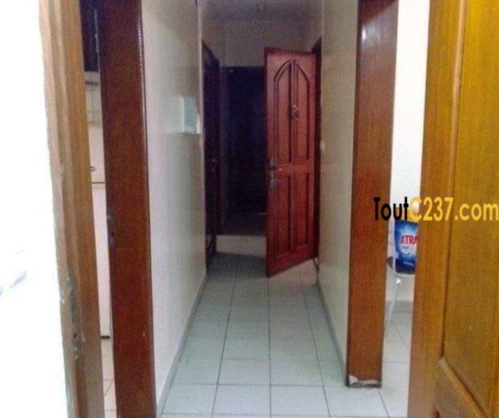 Appartement à louer à Bonanjo à Douala