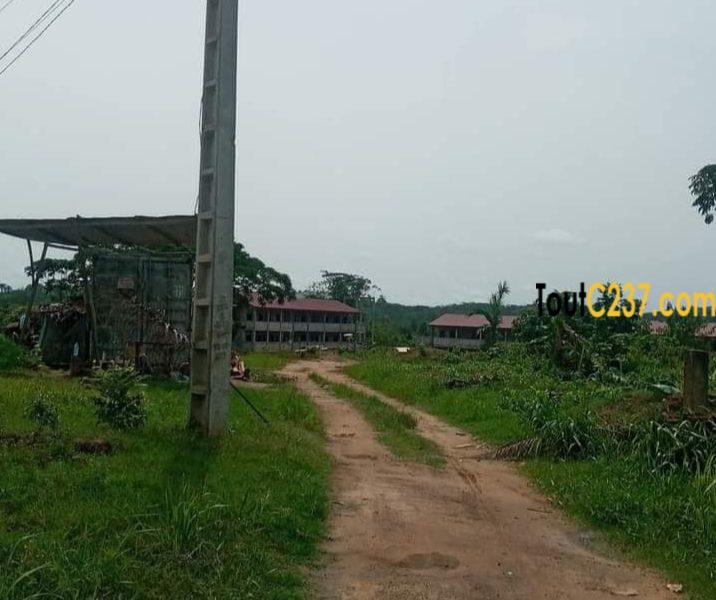 Terrain à vendre à Lendi Douala