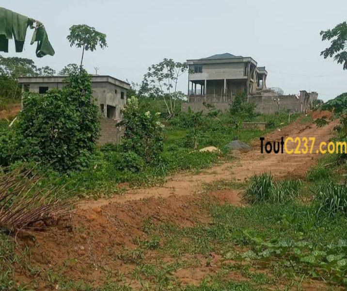 Terrain à vendre à Lendi Douala