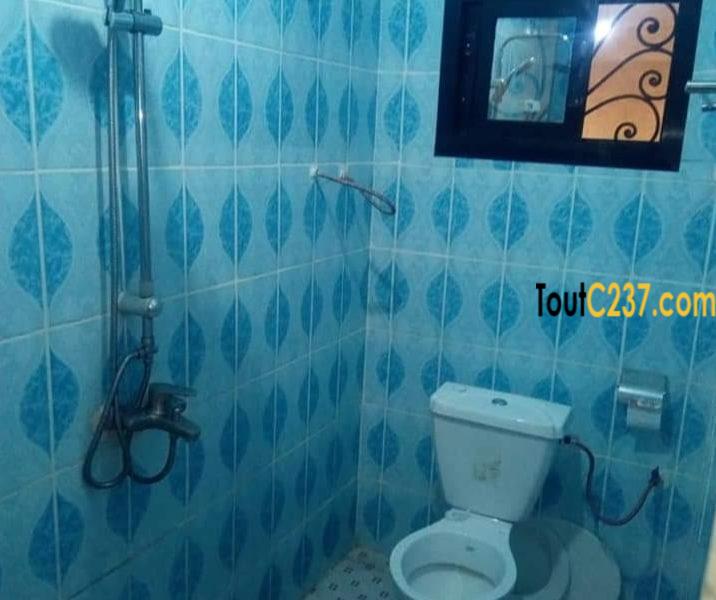 Appartement à louer à Akwa-Nord Douala