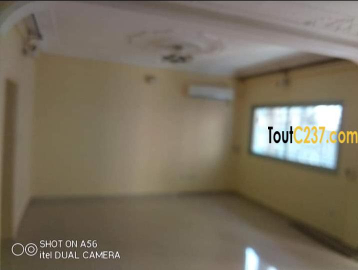 Appartement à louer à Bonapriso Douala