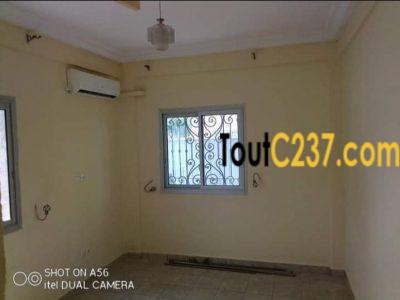 Appartement à louer à Bonapriso Douala