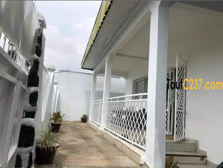 Villa meublée à loué à Bonamoussadi Douala