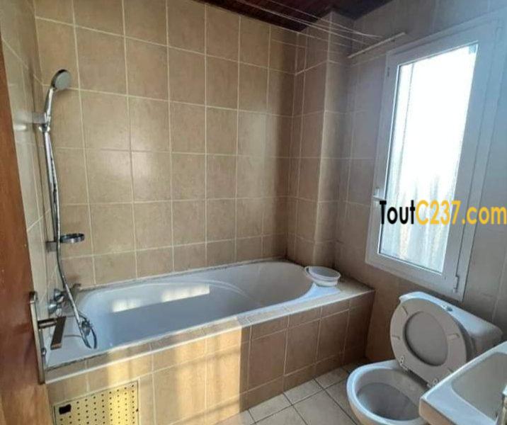 Appartement à louer à Bonapriso Douala