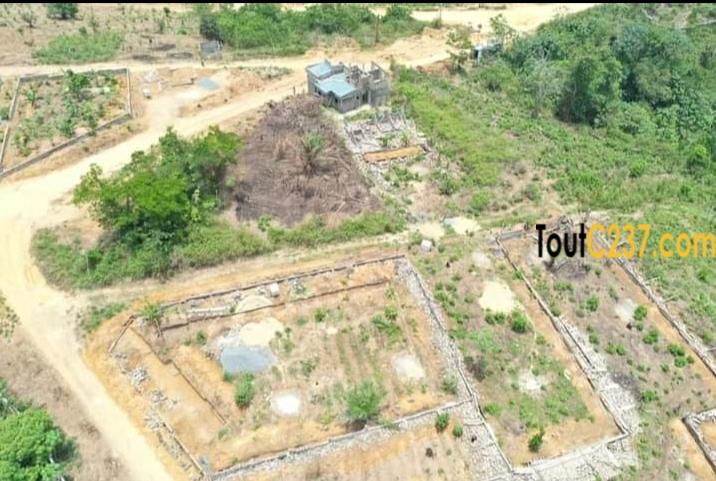 Terrains à vendre à Lendi Douala
