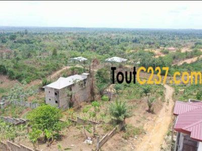 Terrains à vendre à Lendi Douala