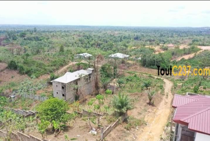 Terrains à vendre à Lendi Douala