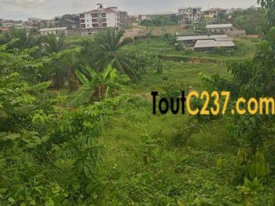 Terrain à vendre à Bonadiwoto Face Grand Mall, Douala