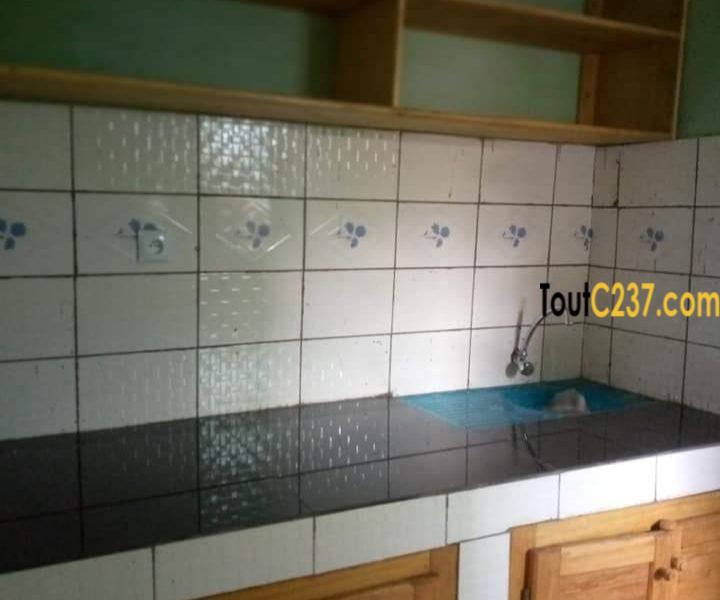 Appartement neuf à louer à Deido Douala